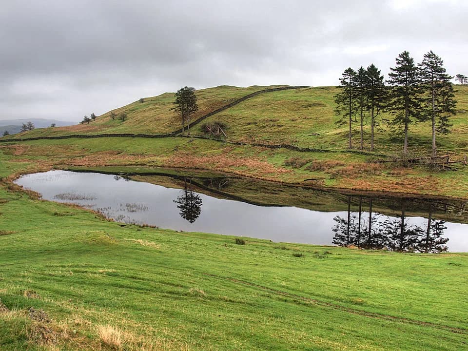 School Knott Tarn trail view