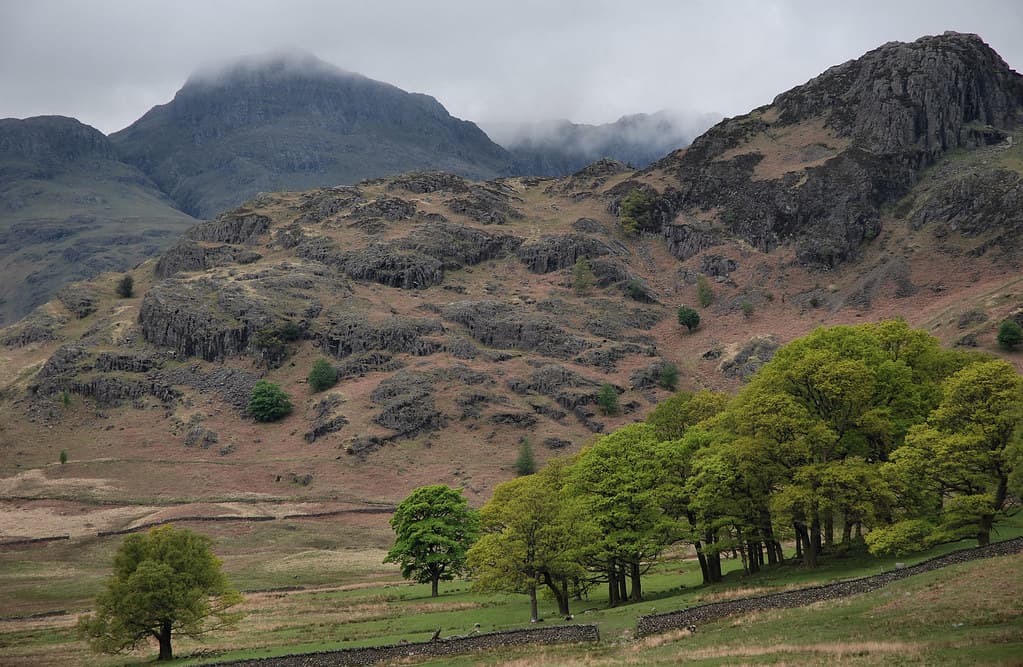 Lingmoor Fell trail view
